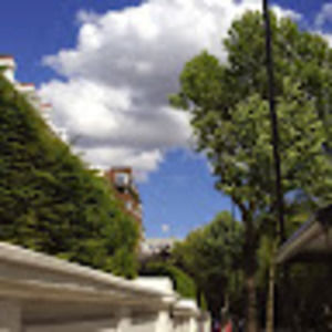 Meet your Posher, Alisa